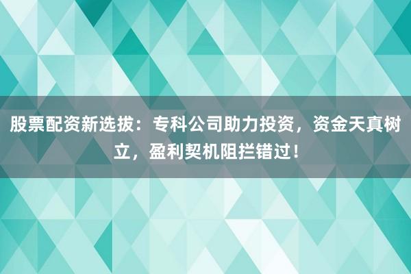 股票配资新选拔：专科公司助力投资，资金天真树立，盈利契机阻拦错过！