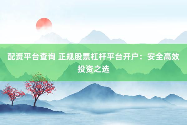 配资平台查询 正规股票杠杆平台开户：安全高效投资之选