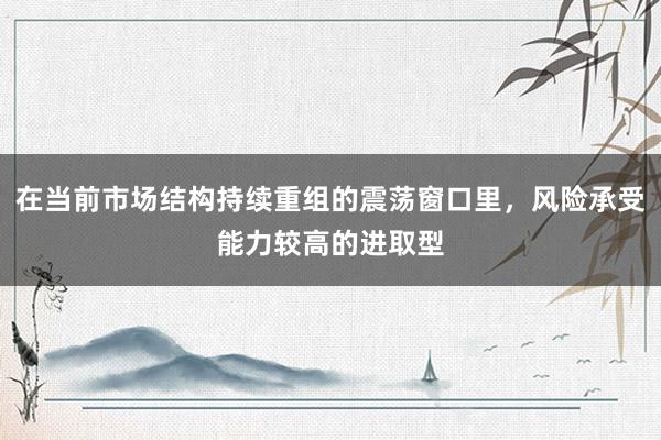 在当前市场结构持续重组的震荡窗口里，风险承受能力较高的进取型