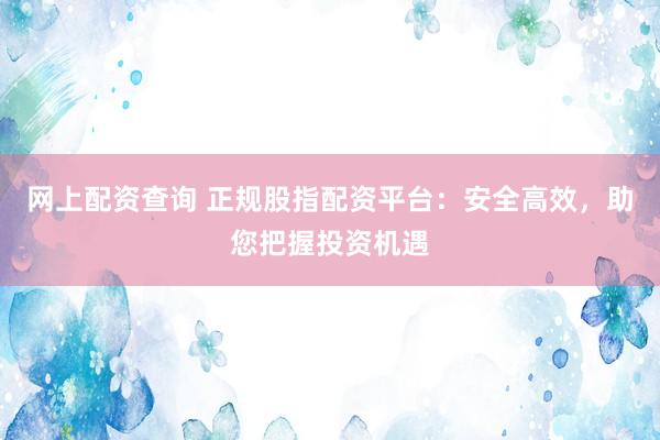 网上配资查询 正规股指配资平台：安全高效，助您把握投资机遇